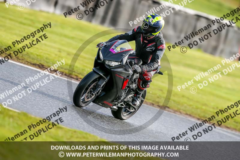 Oulton Park 14th March 2020;PJ Motorsport Photography 2020;anglesey;brands hatch;cadwell park;croft;donington park;enduro digital images;event digital images;eventdigitalimages;mallory;no limits;oulton park;peter wileman photography;racing digital images;silverstone;snetterton;trackday digital images;trackday photos;vmcc banbury run;welsh 2 day enduro